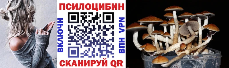 Псилоцибиновые грибы Psilocybine cubensis  Дюртюли 